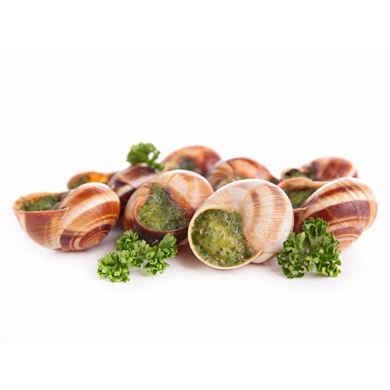 Douzaine d'escargots de Bourgogne – APPETIT
