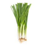 OIGNON VERT NON TRAITÉ (LA BOTTE)