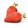 FRAISE non traitée (par 500g)