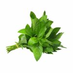 MENTHE FRAÎCHE NON TRAITÉE (par botte)